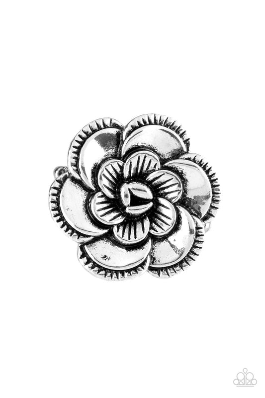 FLOWERBED and Breakfast Silver Ring Paparazzi Accessories. Subscribe & Save. #P4WH-SVXX-117XX