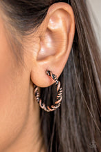 Load image into Gallery viewer, Plainly Panama - Copper Earrings Paparazzi Accessories
