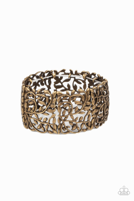 Paparazzi Verdantly Vintage Brass Bracelet. Subscribe & Save.  #P9ST-BRXX-004XX. Stretchy Bracelet