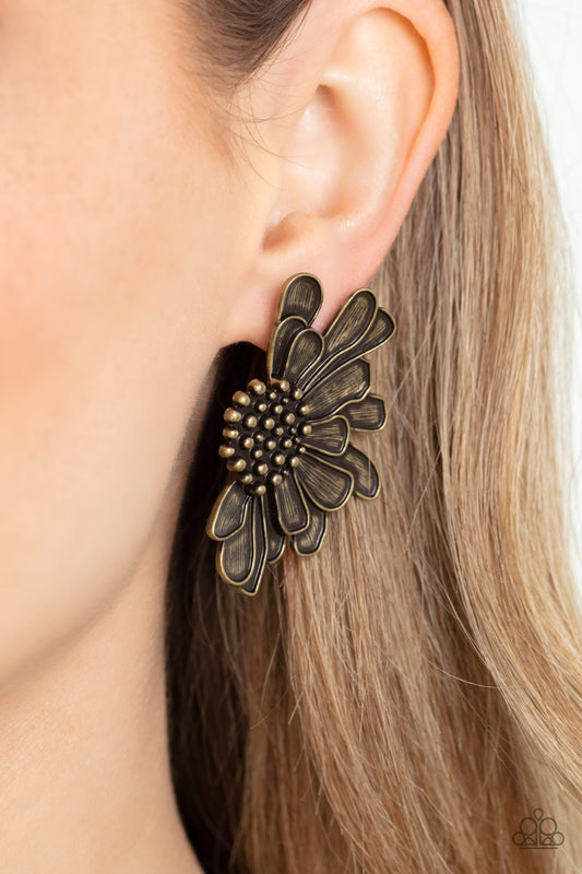 Paparazzi Farmstead Meadow Brass Earrings. Subscribe & Save. #P5PO-BRXX-065XX. Rustic accessory