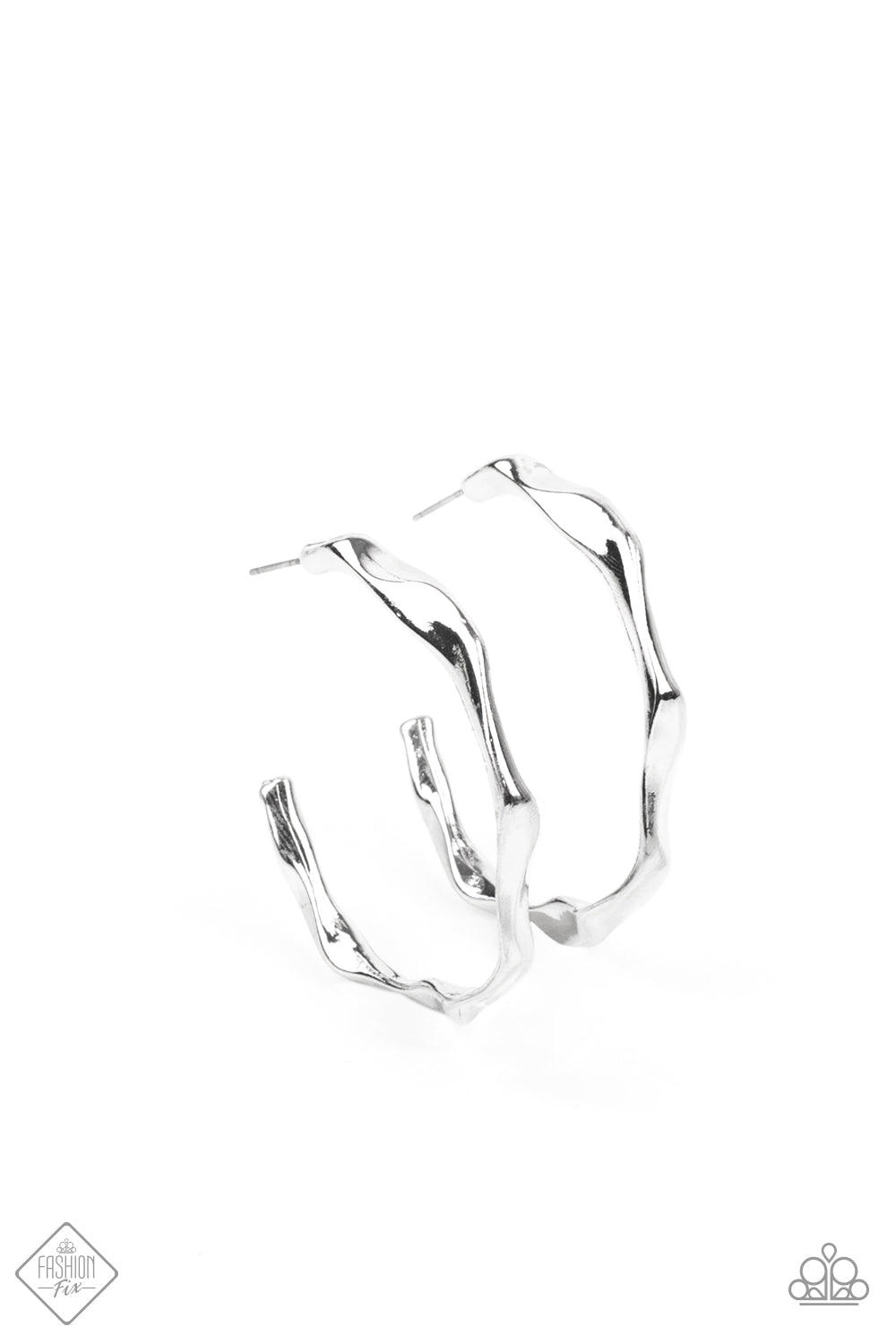 Coveted Curves - Silver Hoop June 2021 Fashion Fix Earring Hoop