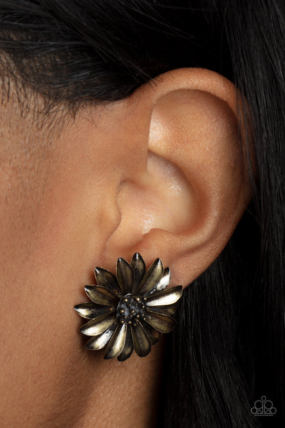 Paparazzi Daisy Dilemma Brass Earring. Paparazzi $8 Jewelry. Post Style Earring. Daisy Earring