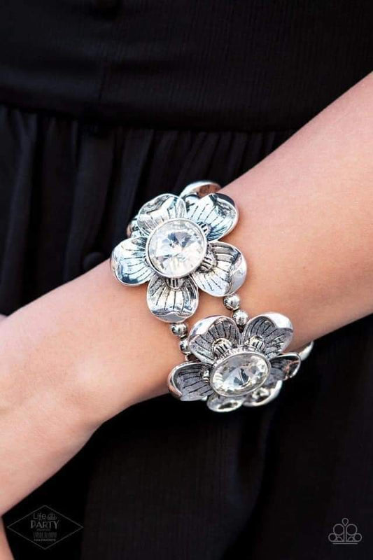 Paparazzi Zi Bracelet Collection